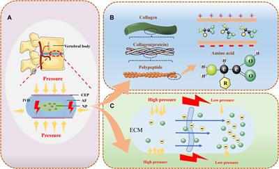 Can self-powered piezoelectric materials be used to treat disc degeneration by means of electrical stimulation?